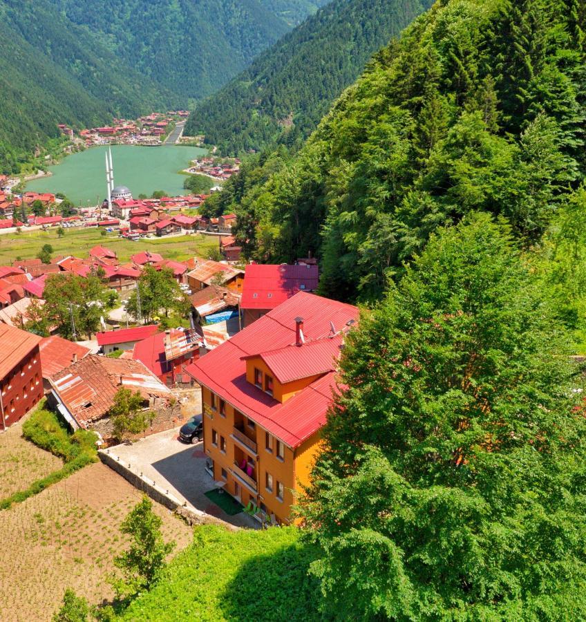 Auga Apart Uzungöl Exterior foto