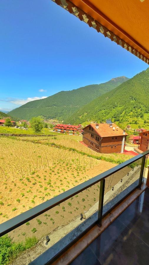 Auga Apart Uzungöl Exterior foto